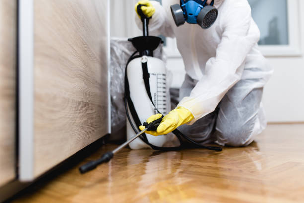 Best Affordable Pest Control Services  in Sturgeon Bay, WI