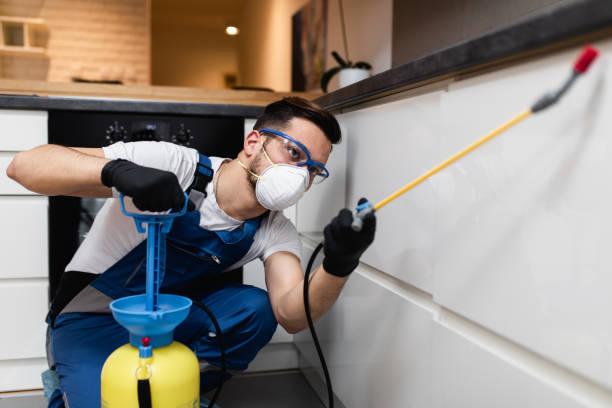Best Local Pest Control Services  in Sturgeon Bay, WI