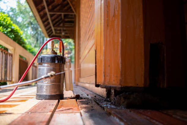 Best Exterminator Services  in Sturgeon Bay, WI