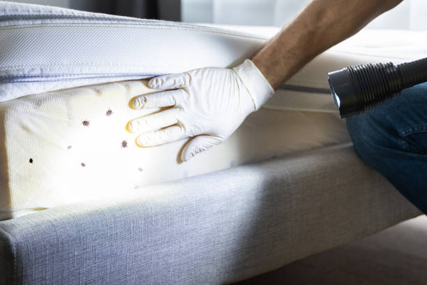 Best Residential Pest Control  in Sturgeon Bay, WI