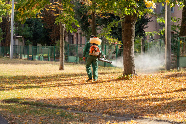 Best Spider Control Near Me  in Sturgeon Bay, WI
