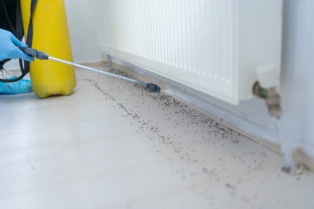 Trusted Sturgeon Bay, WI Pest Control Experts