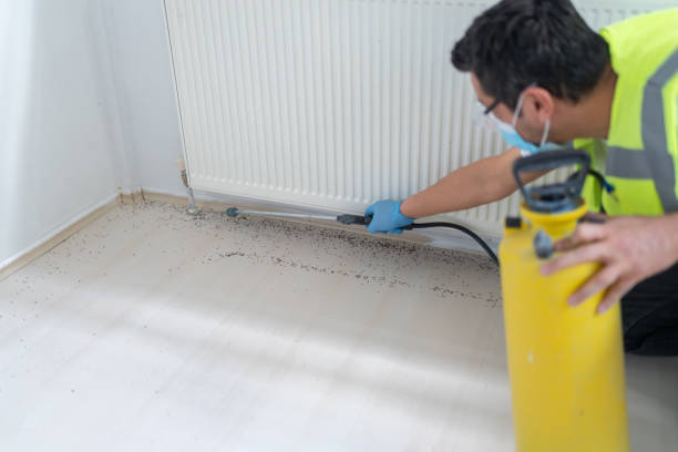 Best Wasp Removal Services  in Sturgeon Bay, WI