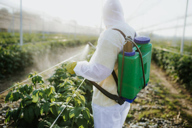 Best Ant Control Services  in Sturgeon Bay, WI